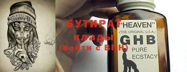 сатива Верея