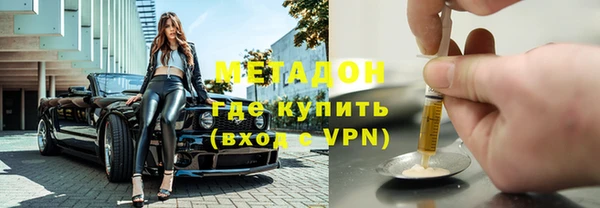 прущие грибы Верхний Тагил