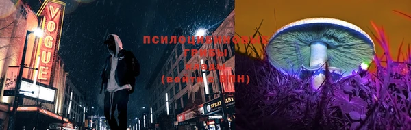 дурь Богородск
