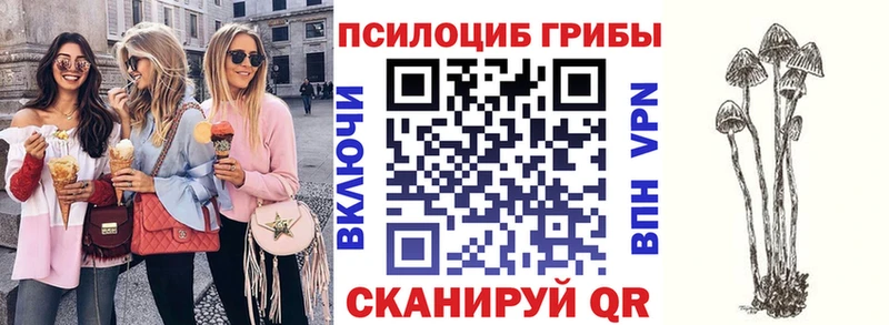 Псилоцибиновые грибы Psilocybe  закладки  Донецк 